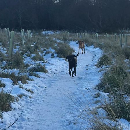 Aviemore Highlands No82 Esterno foto