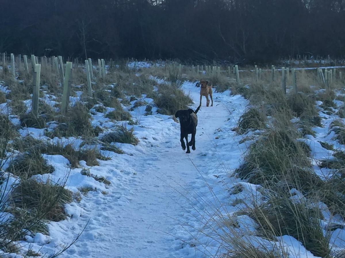 Aviemore Highlands No82 Esterno foto